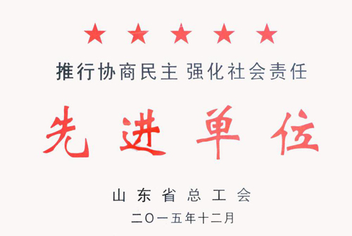 山東省“推行協(xié)商民主強(qiáng)化社會(huì)責(zé)任”單位獎(jiǎng)牌